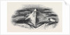 General View of the Pyramids of Jizeh by Anonymous