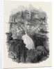 Lower Falls of the Bruar by Anonymous