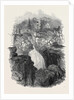 Lower Falls of the Bruar by Anonymous