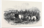 The Queen and Prince Albert Fording the Garry by Anonymous