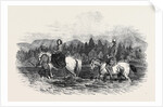The Queen and Prince Albert Fording the Garry by Anonymous