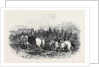 The Queen and Prince Albert Fording the Garry by Anonymous