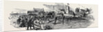 Opening of the Maidstone Branch Railway by Anonymous