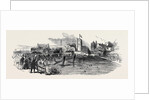 Opening of the Maidstone Branch Railway by Anonymous