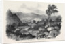 Blair Athol by Anonymous