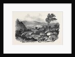 Blair Athol by Anonymous