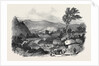 Blair Athol by Anonymous