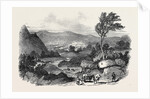 Blair Athol by Anonymous
