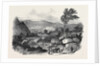 Blair Athol by Anonymous