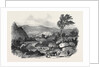 Blair Athol by Anonymous