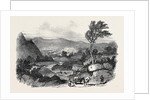 Blair Athol by Anonymous