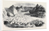 The Great Glacier of Lauteraar by Anonymous