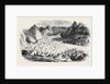 The Great Glacier of Lauteraar by Anonymous