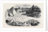 The Great Glacier of Lauteraar by Anonymous