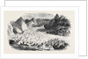 The Great Glacier of Lauteraar by Anonymous