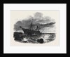 Wreck of the Windsor Castle Steamer by Anonymous