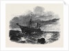 Wreck of the Windsor Castle Steamer by Anonymous
