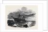 Wreck of the Windsor Castle Steamer by Anonymous