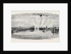 Town and Harbour of Havannah by Anonymous