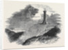 Monument to Admiral Sir Thomas Hardy, on Blagdon Hill by Anonymous