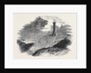 Monument to Admiral Sir Thomas Hardy, on Blagdon Hill by Anonymous
