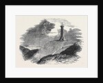 Monument to Admiral Sir Thomas Hardy, on Blagdon Hill by Anonymous