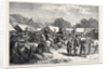 Pony Fair in the New Forest 1871 by Anonymous