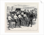 The Camp at Shoeburyness: The Competition for the Army Prizes 1871 by Anonymous