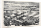 The Royal Visit to the Irish Agricultural Society's Show at Dublin 1871 by Anonymous