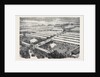 The Royal Visit to the Irish Agricultural Society's Show at Dublin 1871 by Anonymous