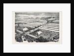 The Royal Visit to the Irish Agricultural Society's Show at Dublin 1871 by Anonymous