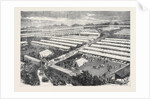 The Royal Visit to the Irish Agricultural Society's Show at Dublin 1871 by Anonymous