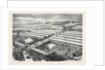The Royal Visit to the Irish Agricultural Society's Show at Dublin 1871 by Anonymous