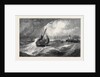 Freshening Gale Scarborough Fishing Boats Returning to Harbour, from the Royal Academy Exhibition 1871 by Anonymous