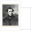 Mr. J.A. Froude the Historian 1871 by Anonymous