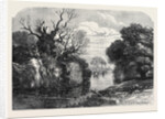 View in Tichborne Park Alresford Hants. 1871 by Anonymous