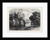 View in Tichborne Park Alresford Hants. 1871 by Anonymous