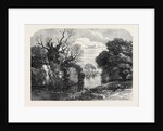 View in Tichborne Park Alresford Hants. 1871 by Anonymous