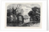 View in Tichborne Park Alresford Hants. 1871 by Anonymous