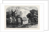 View in Tichborne Park Alresford Hants. 1871 by Anonymous