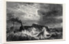 Arrival of the French Mail-Boat at Dover, 1871 by Anonymous