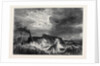 Arrival of the French Mail-Boat at Dover, 1871 by Anonymous