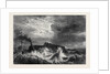Arrival of the French Mail-Boat at Dover, 1871 by Anonymous