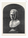 Adversity, 1871 by Anonymous