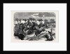 Stampede of Cavalry Horses at Aldershott Camp 1871 by Anonymous