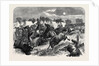 Stampede of Cavalry Horses at Aldershott Camp 1871 by Anonymous
