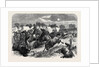 Stampede of Cavalry Horses at Aldershott Camp 1871 by Anonymous