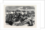 Stampede of Cavalry Horses at Aldershott Camp 1871 by Anonymous