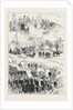 The Home Campaign 1871 by Anonymous