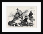 Highland Deerstalking: by George! Missed Again. 1871 by Anonymous